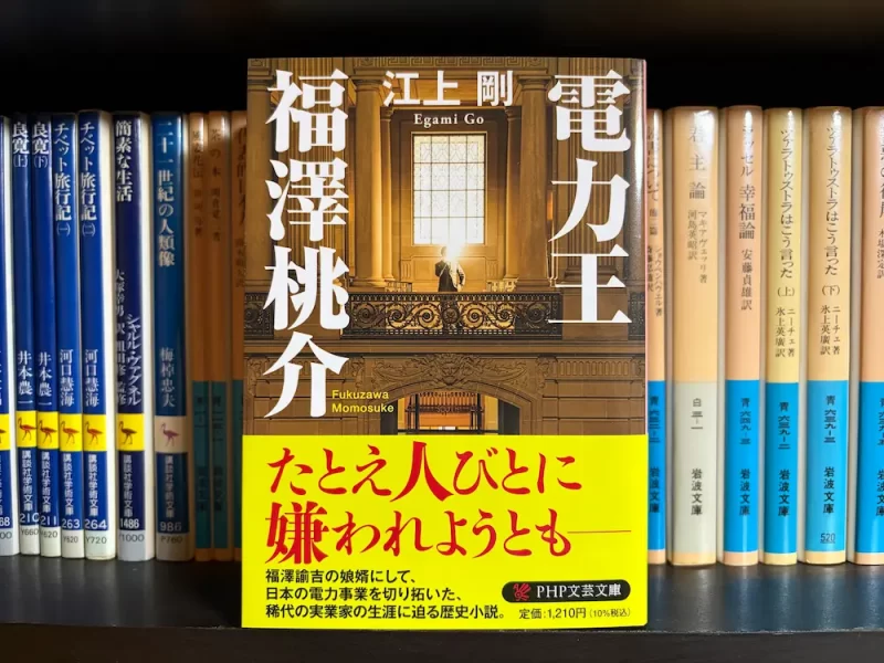 江上剛『電力王・福澤桃介』表紙